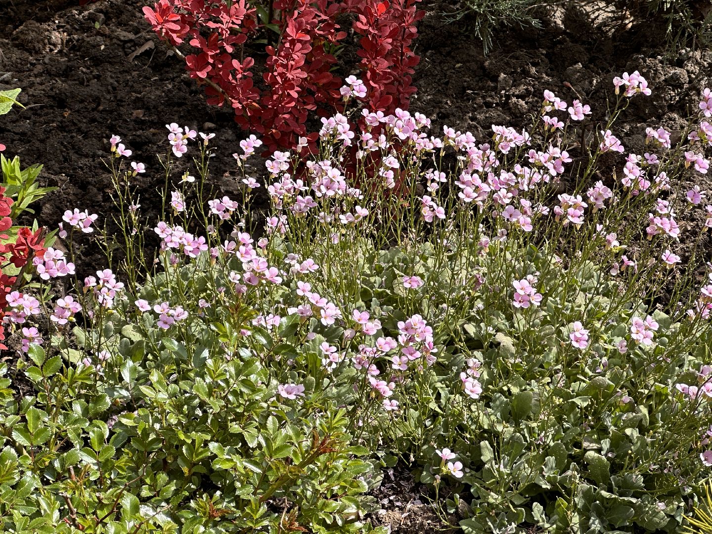 Одинцово, Парки Подмосковья, Советы Дачникам