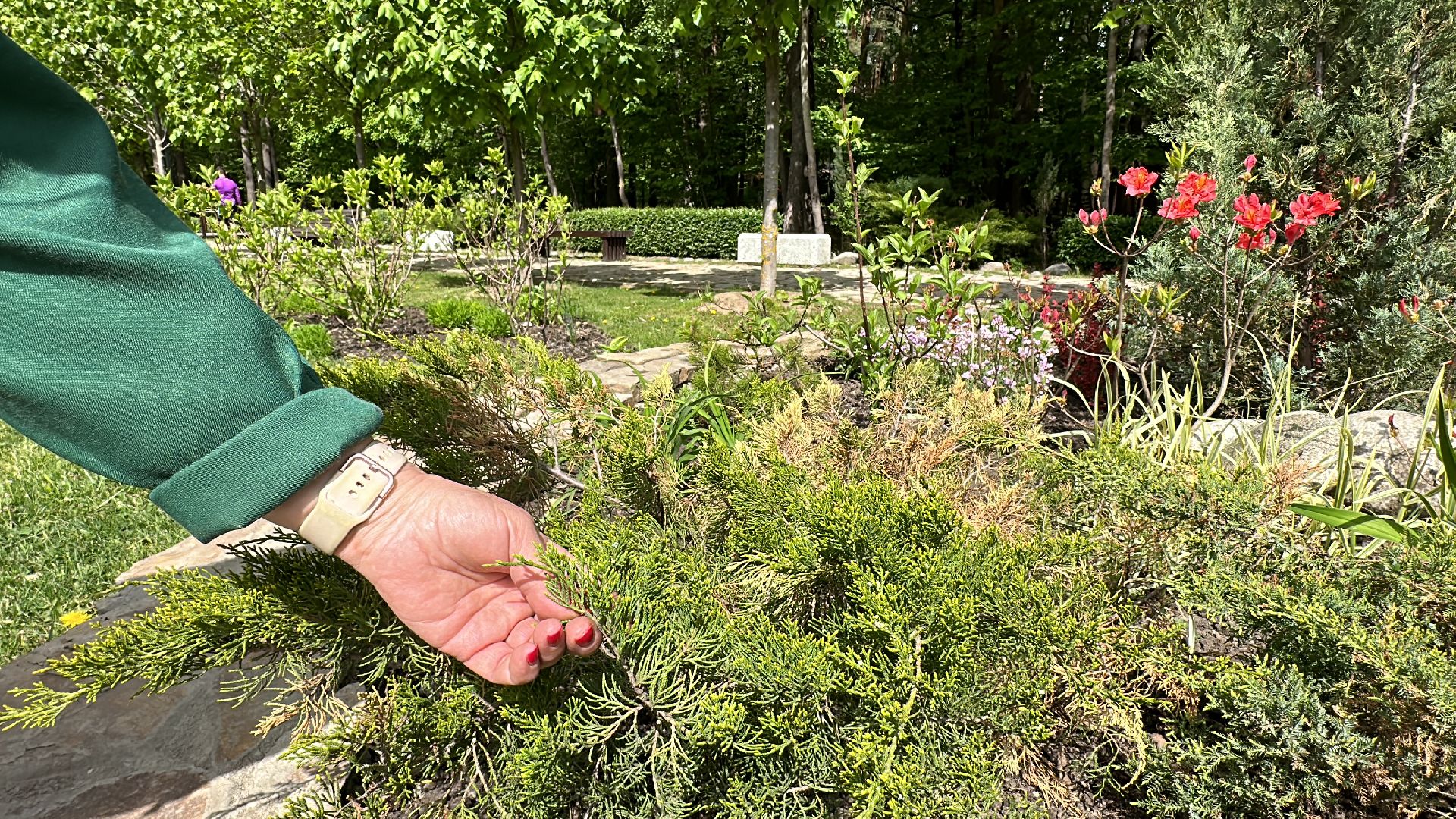 Одинцово, Парки Подмосковья, Советы Дачникам