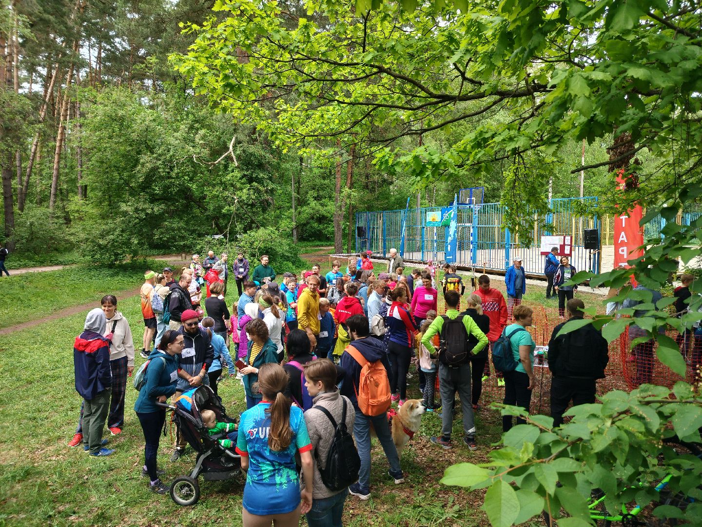 спорт, спортивное ориентирование, Протвино, Протвинские кварталы, кросс-спринт