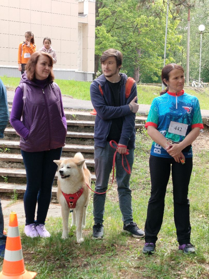 спорт, спортивное ориентирование, Протвино, Протвинские кварталы, кросс-спринт