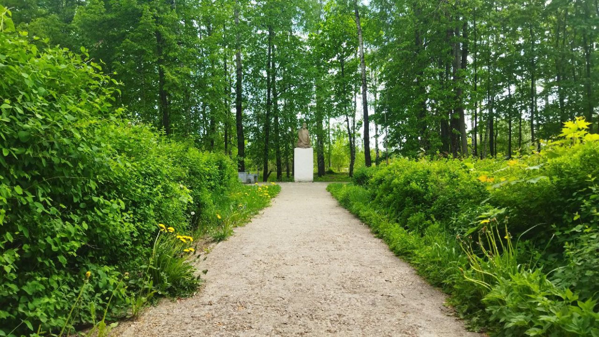 Снегири, благоустройство