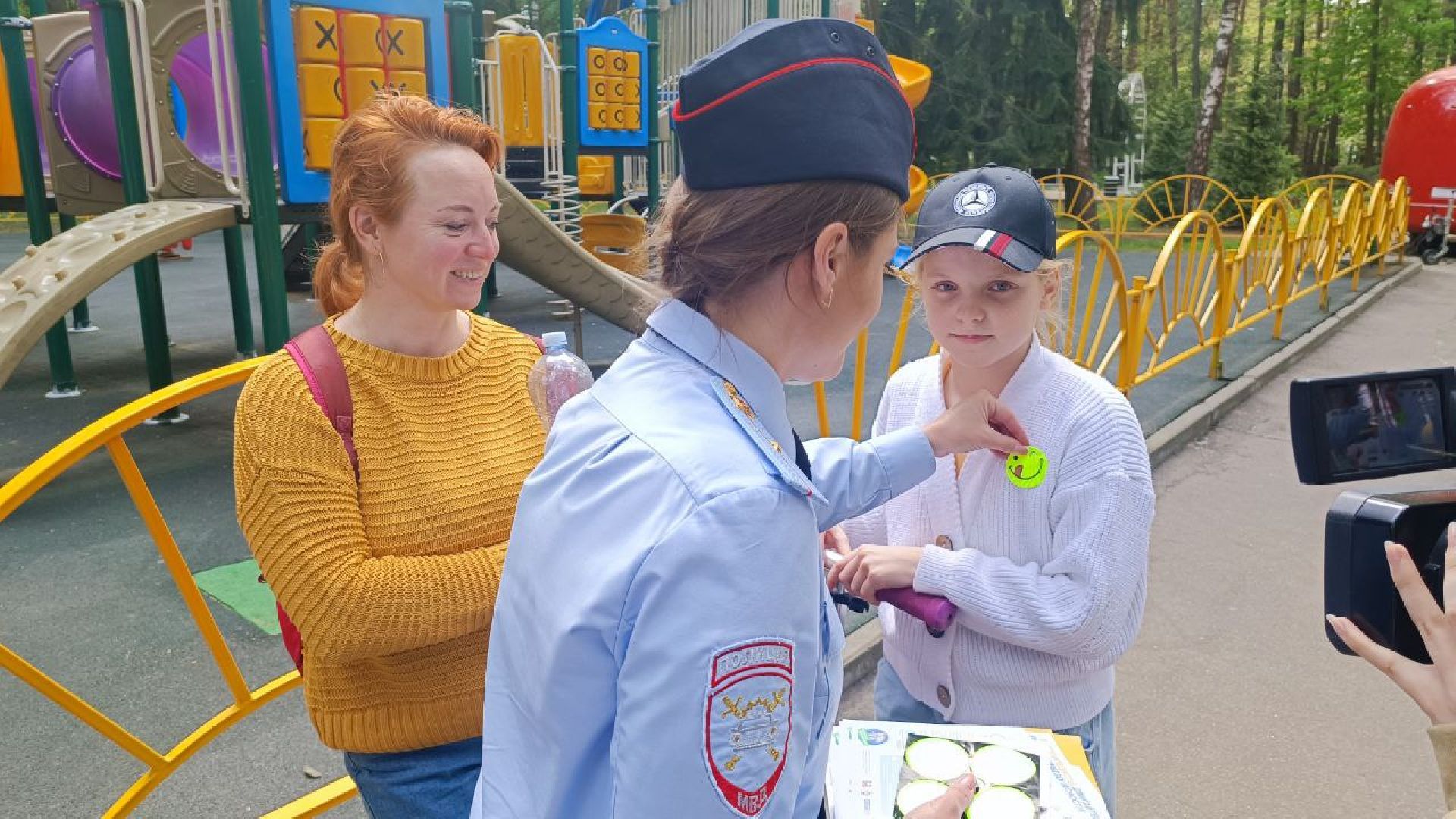 ГИБДД, парк Ёлочки, Домодедово