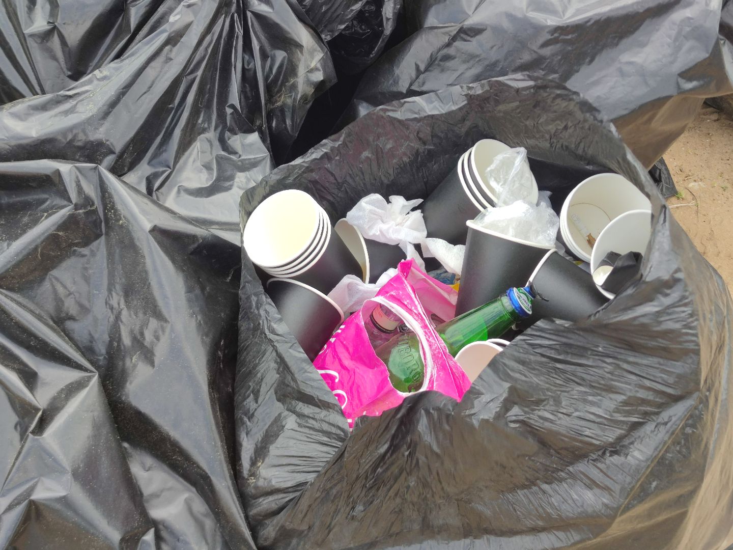 Вывоз мусора, субботник, день Волги, Дубна