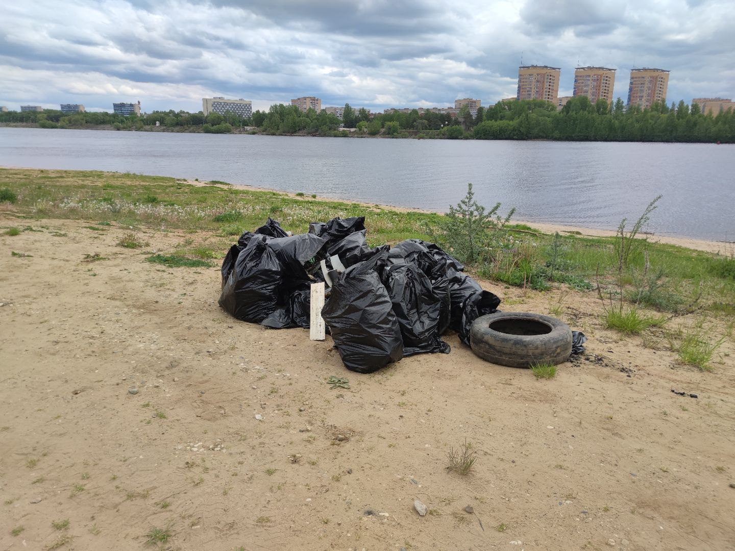 Вывоз мусора, субботник, день Волги, Дубна