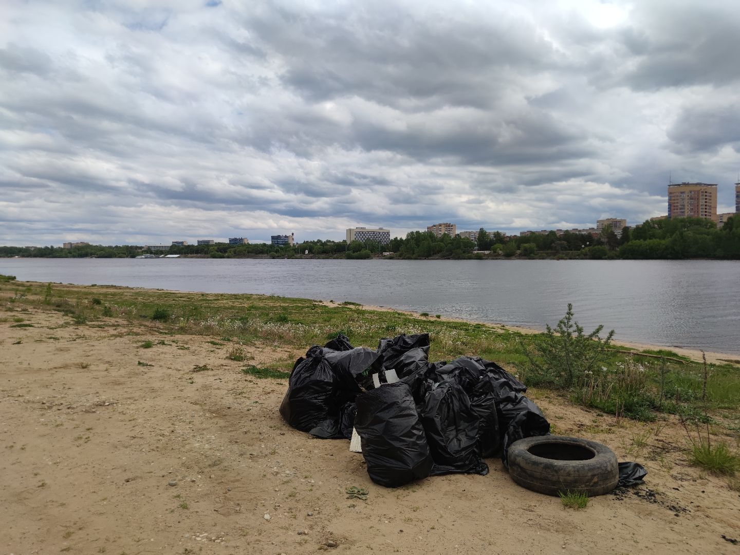 Вывоз мусора, субботник, день Волги, Дубна