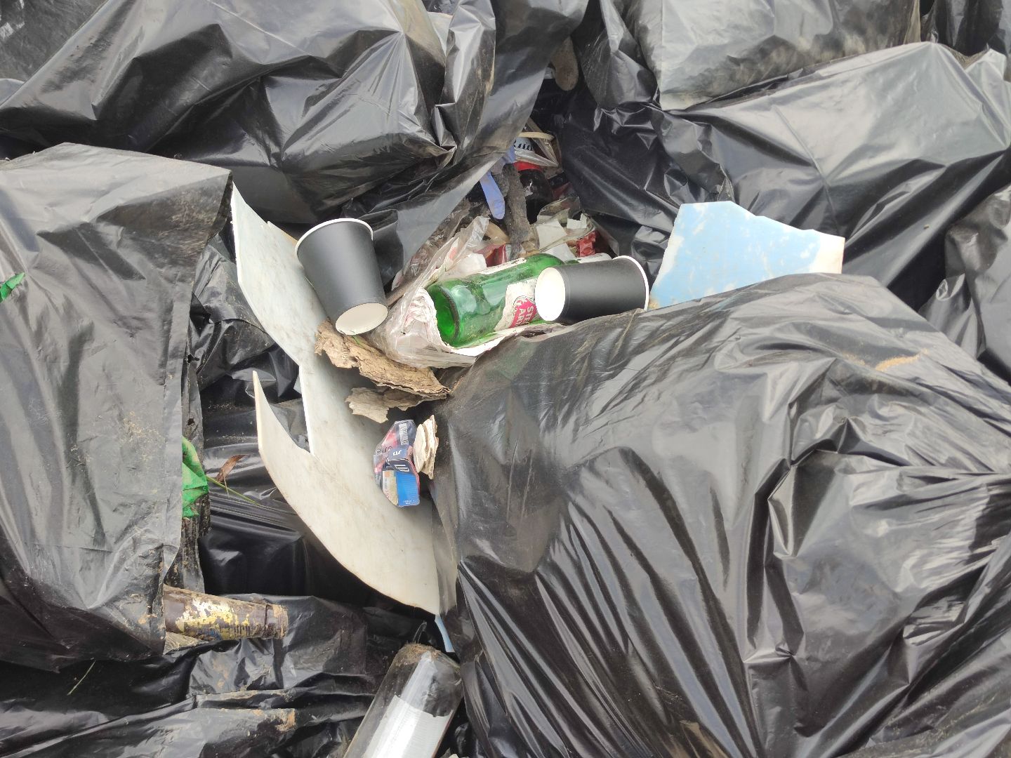 Вывоз мусора, субботник, день Волги, Дубна