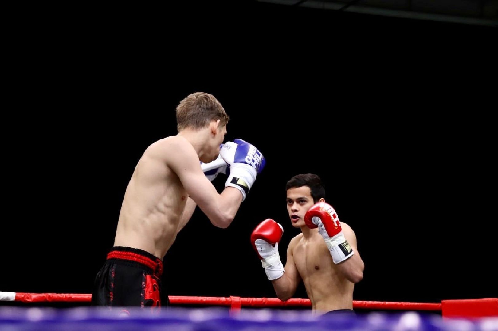 Долгопрудный, бокс, кикбоксинг, турнир, ринг