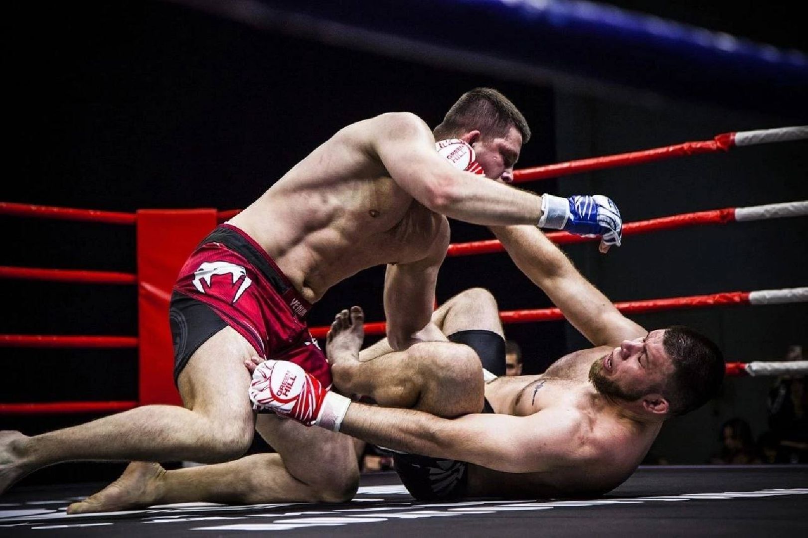 Долгопрудный, бокс, кикбоксинг, турнир, ринг