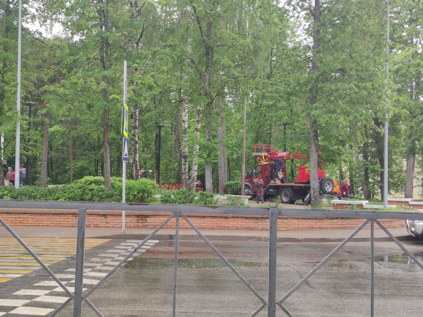 Опиловка деревьев, благоустройство, ЖКХ, Дубна