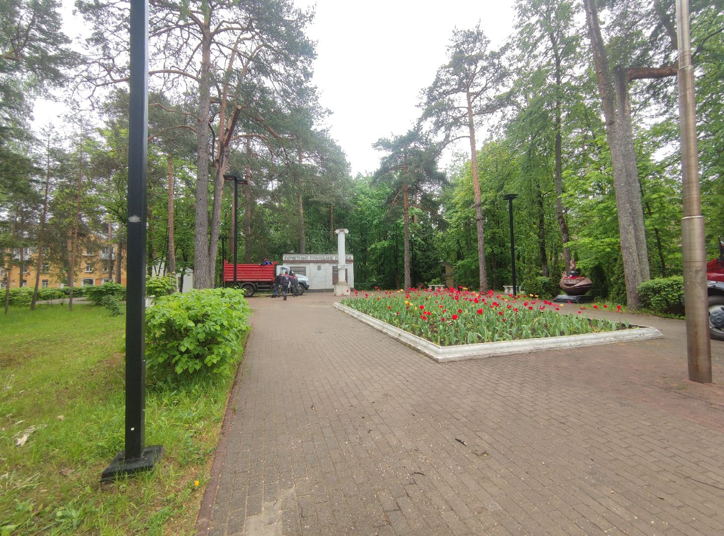 Опиловка деревьев, благоустройство, ЖКХ, Дубна