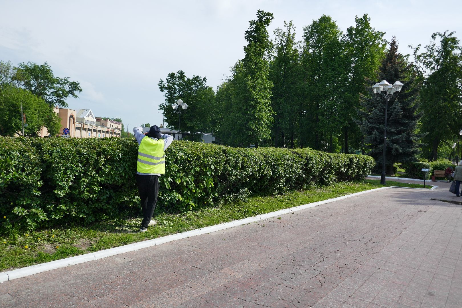 Подольск, благоустройство, кустарники, декор, растения, красота, Подольский комбинат благоустройства, кусторез, парк, сквер, природа
