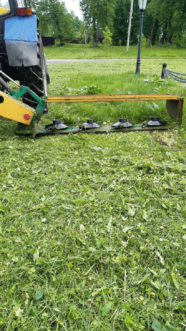 Подольск, благоустройство, кустарники, декор, растения, красота, Подольский комбинат благоустройства, кусторез, парк, сквер, природа