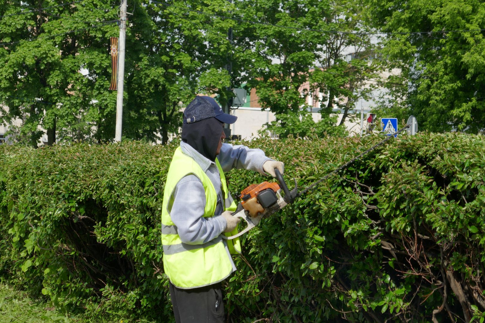 Подольск, благоустройство, кустарники, декор, растения, красота, Подольский комбинат благоустройства, кусторез, парк, сквер, природа