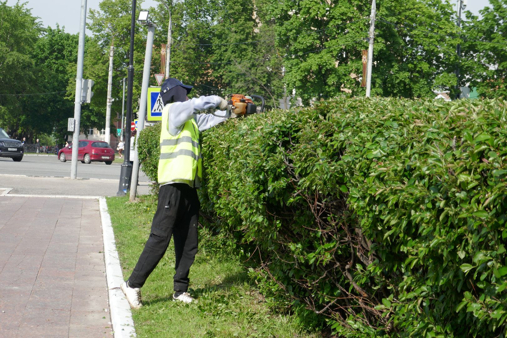 Подольск, благоустройство, кустарники, декор, растения, красота, Подольский комбинат благоустройства, кусторез, парк, сквер, природа