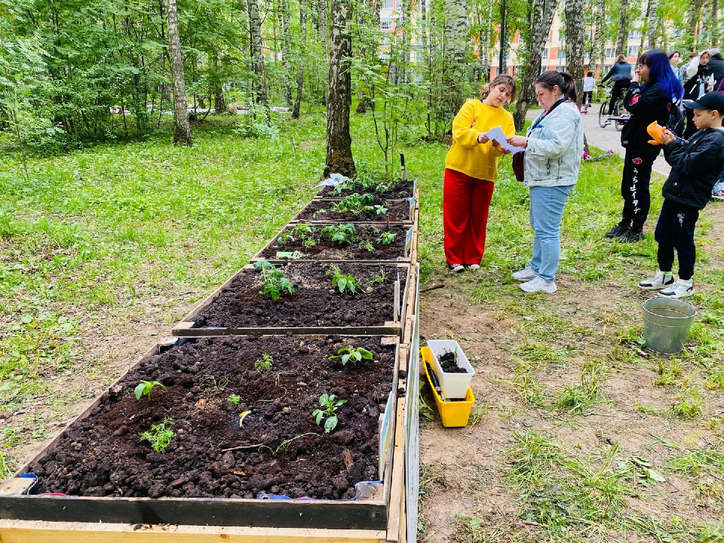 Домодедово, общественный огород, парк, дети, огород