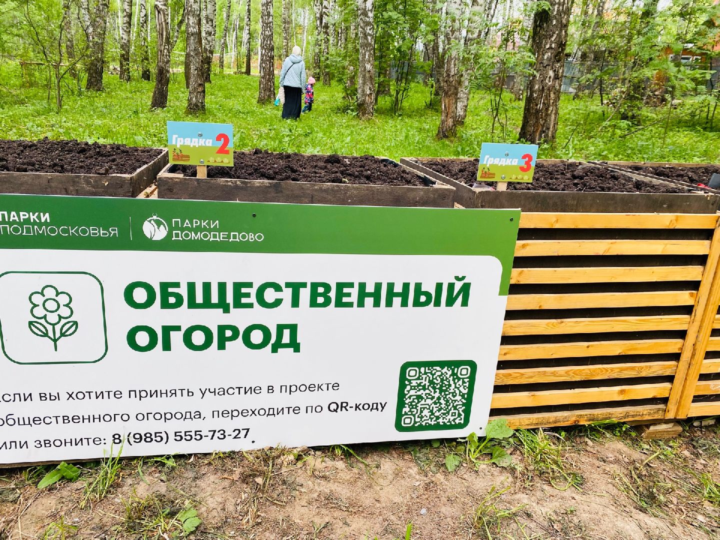 Домодедово, общественный огород, парк, дети, огород