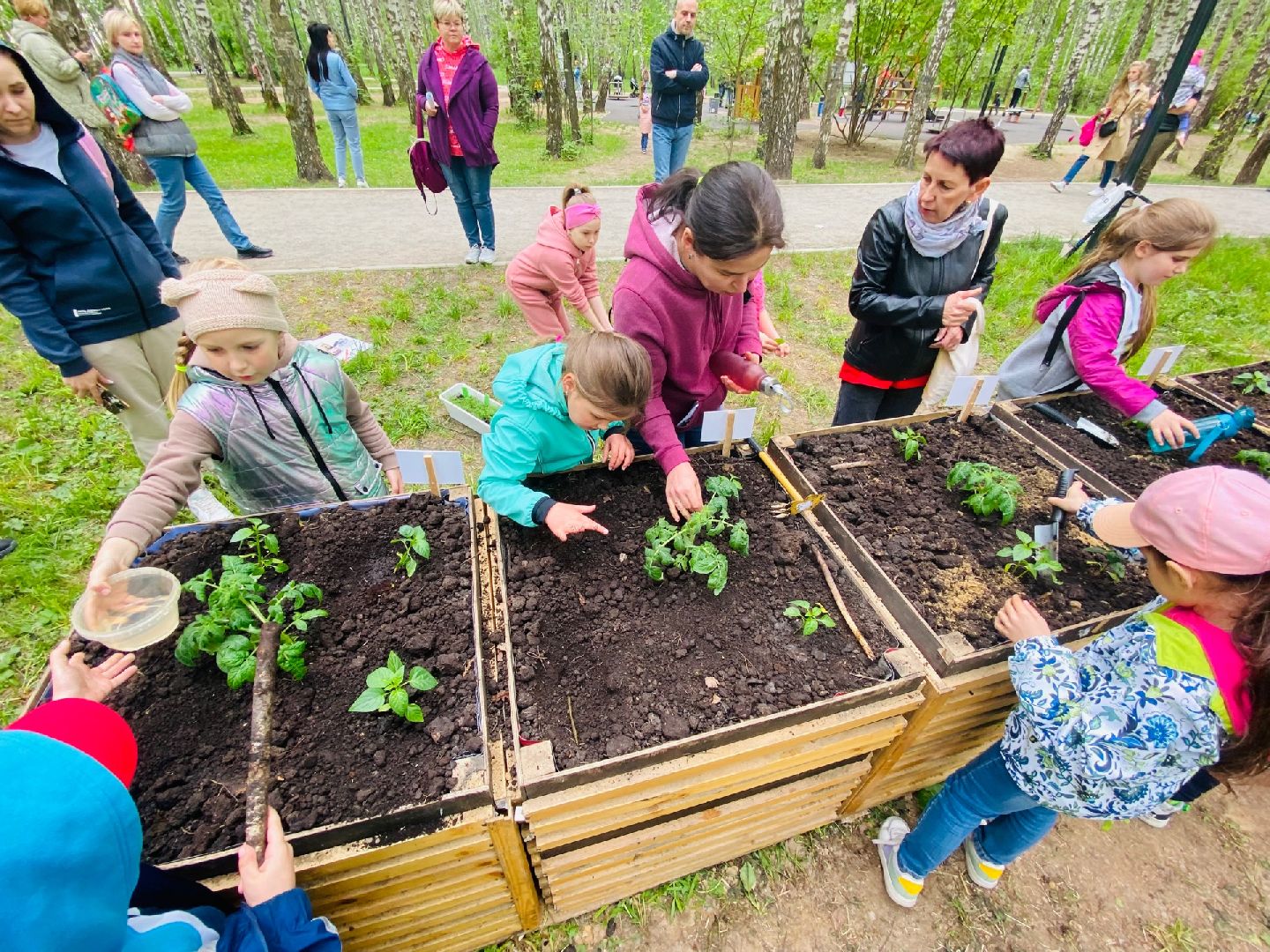 Домодедово, общественный огород, парк, дети, огород