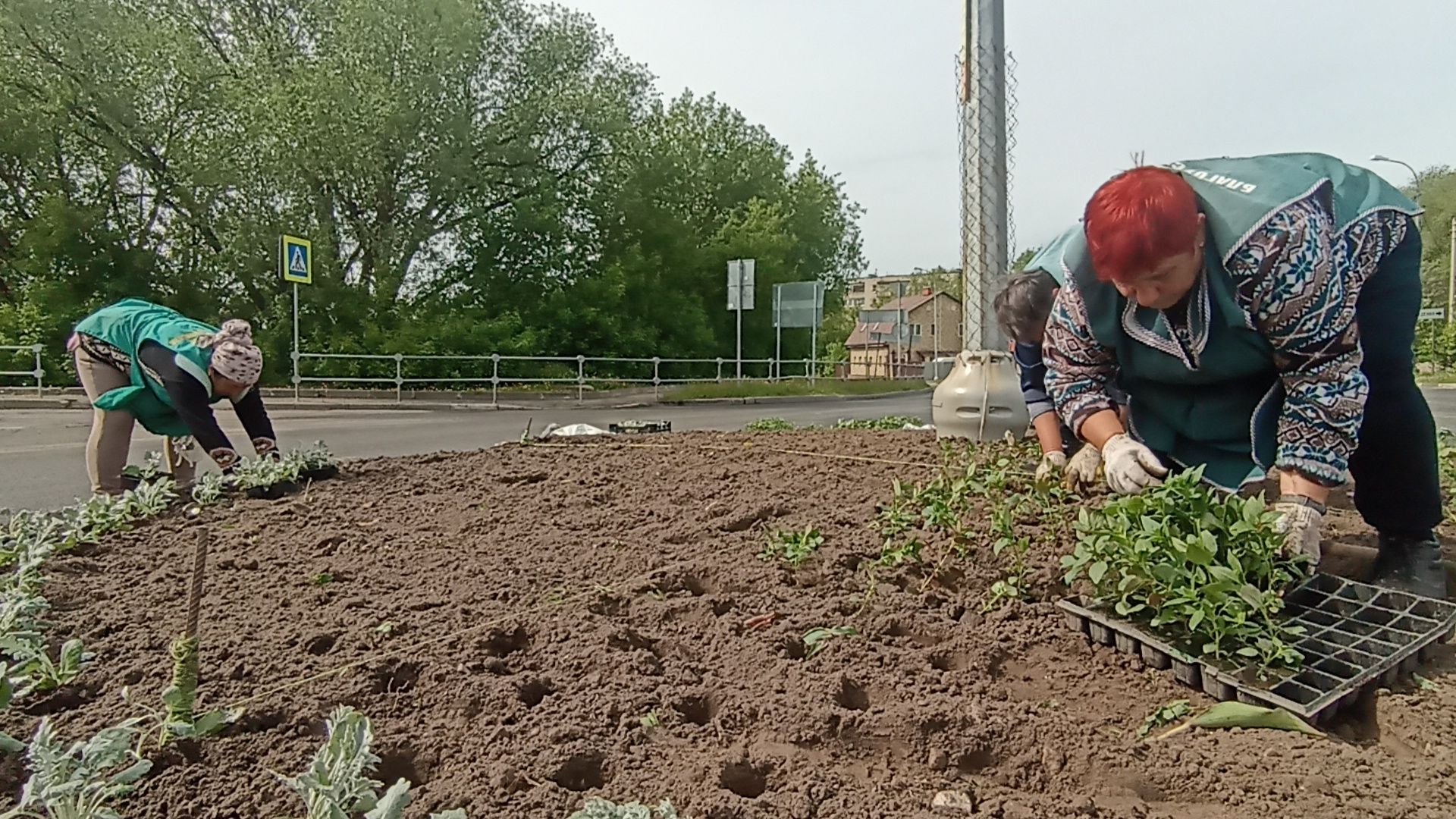 Серпухов, Подмосковье, цветы, посадка, благоустройство