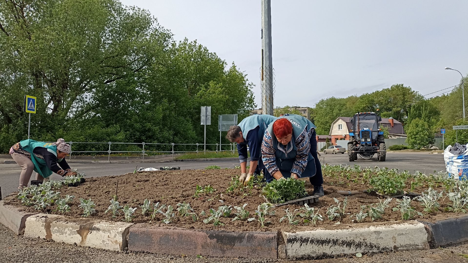 Серпухов, Подмосковье, цветы, посадка, благоустройство