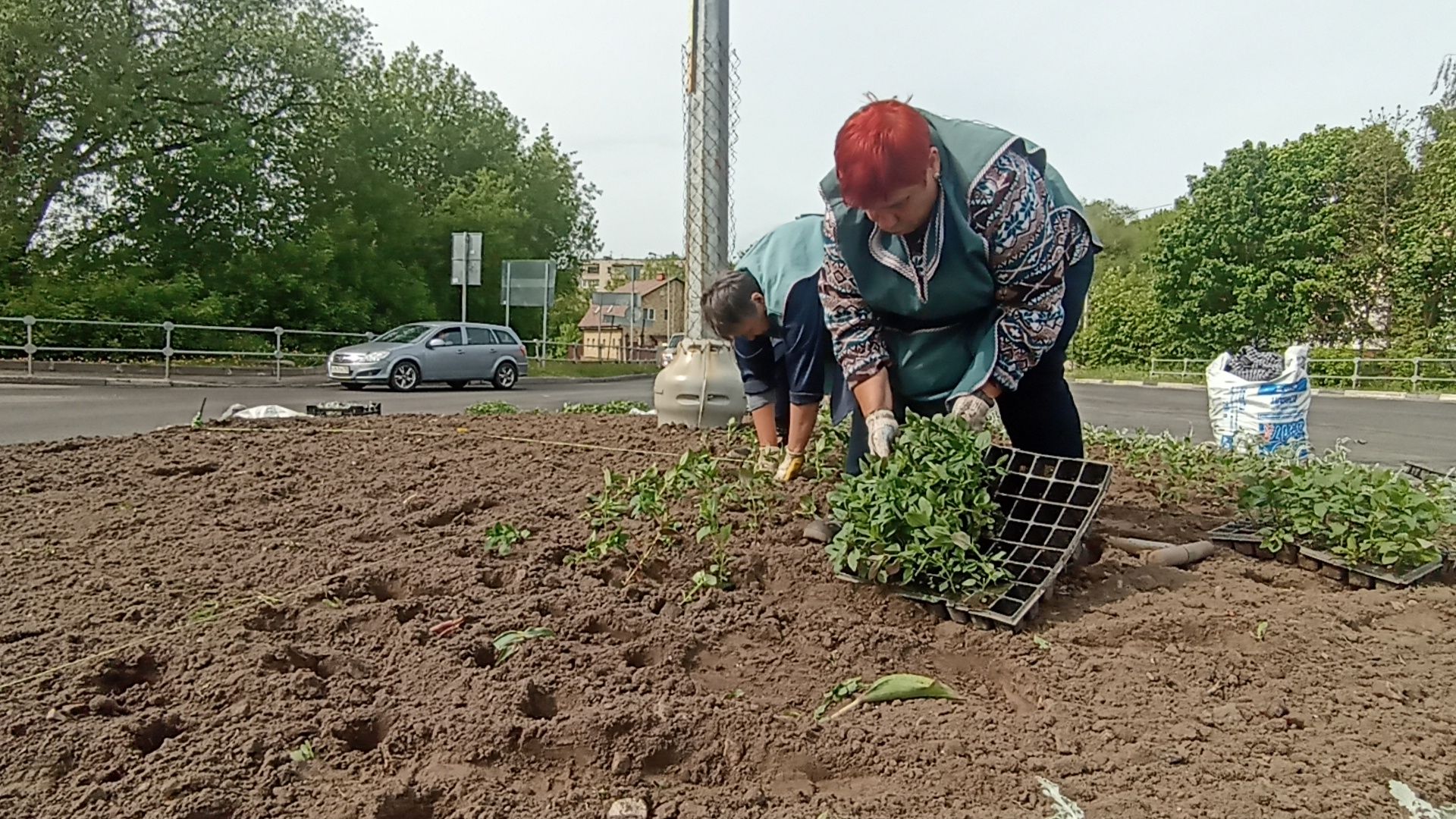 Серпухов, Подмосковье, цветы, посадка, благоустройство
