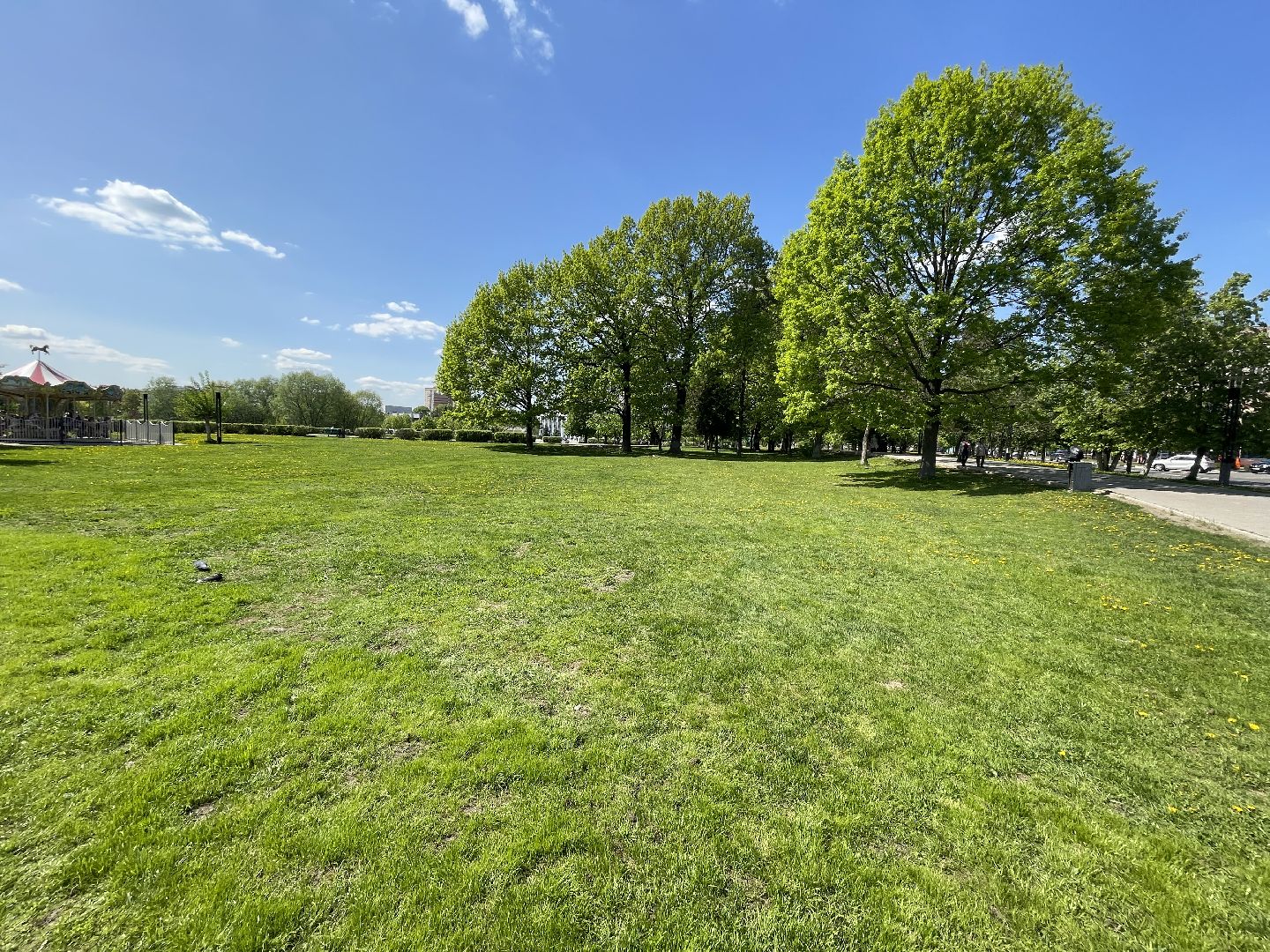 Одинцово, художник, благоустройство,