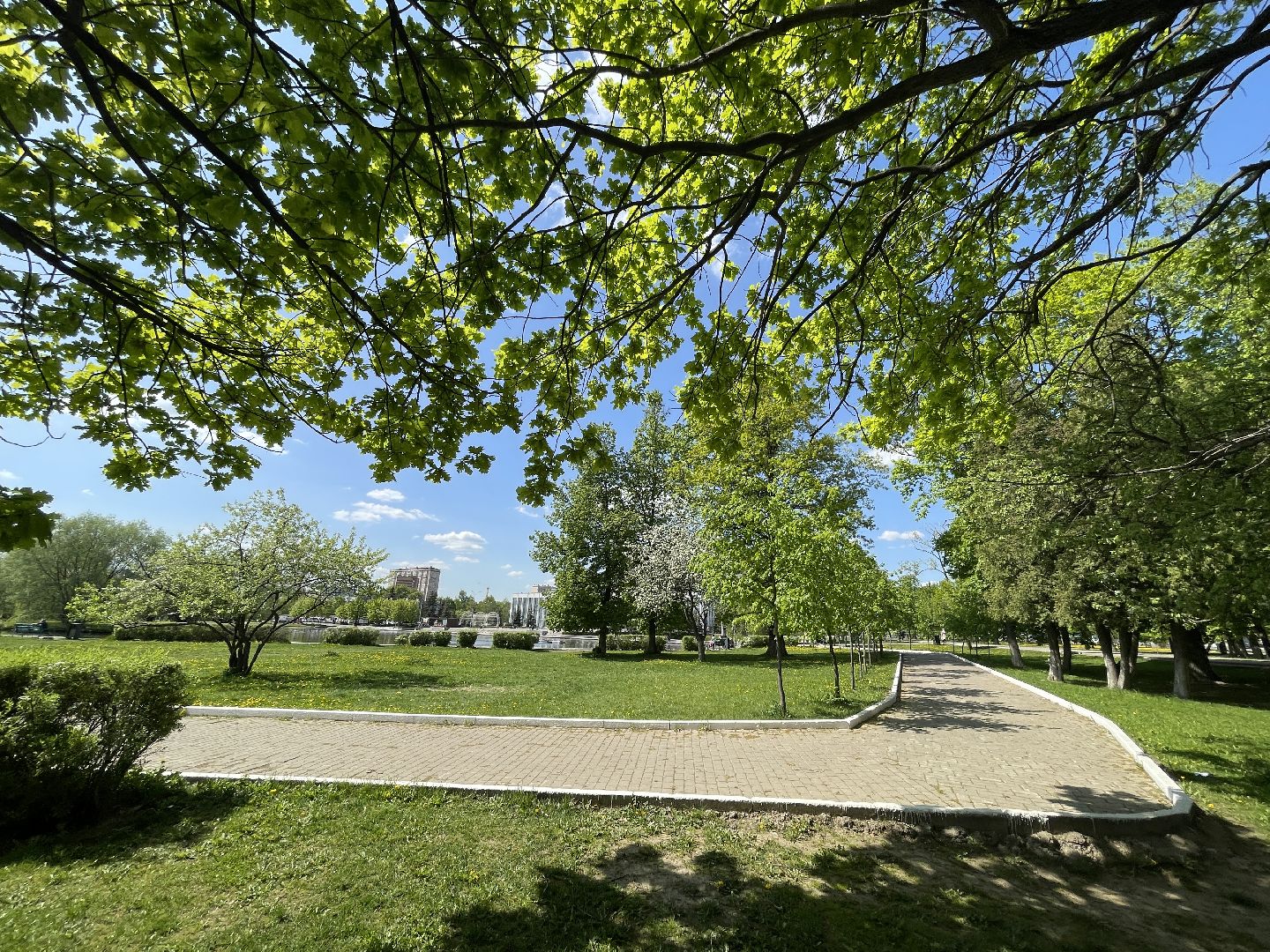 Одинцово, художник, благоустройство,