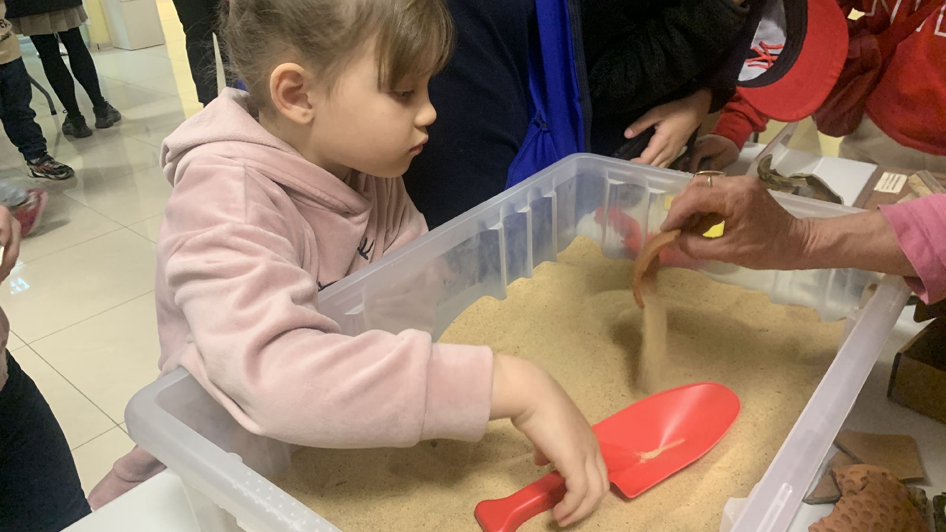 Ступино, Ночь музеев, культура