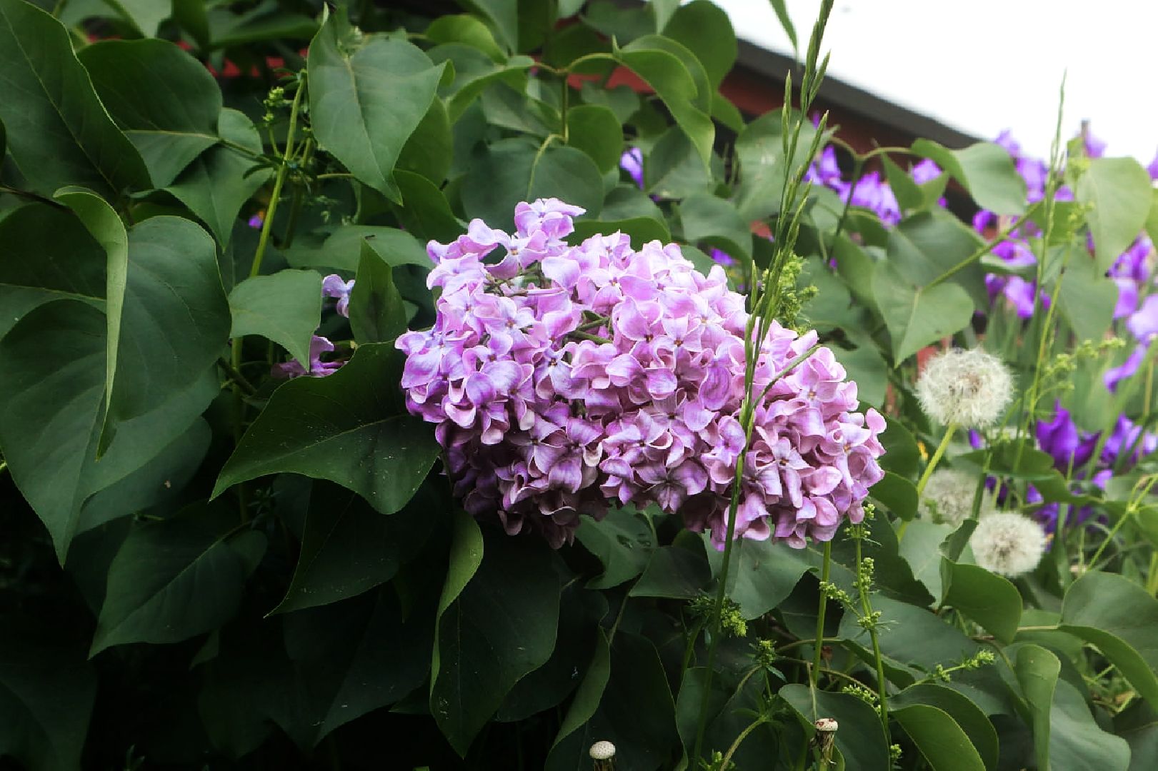 Пущино, экология, благоустройство