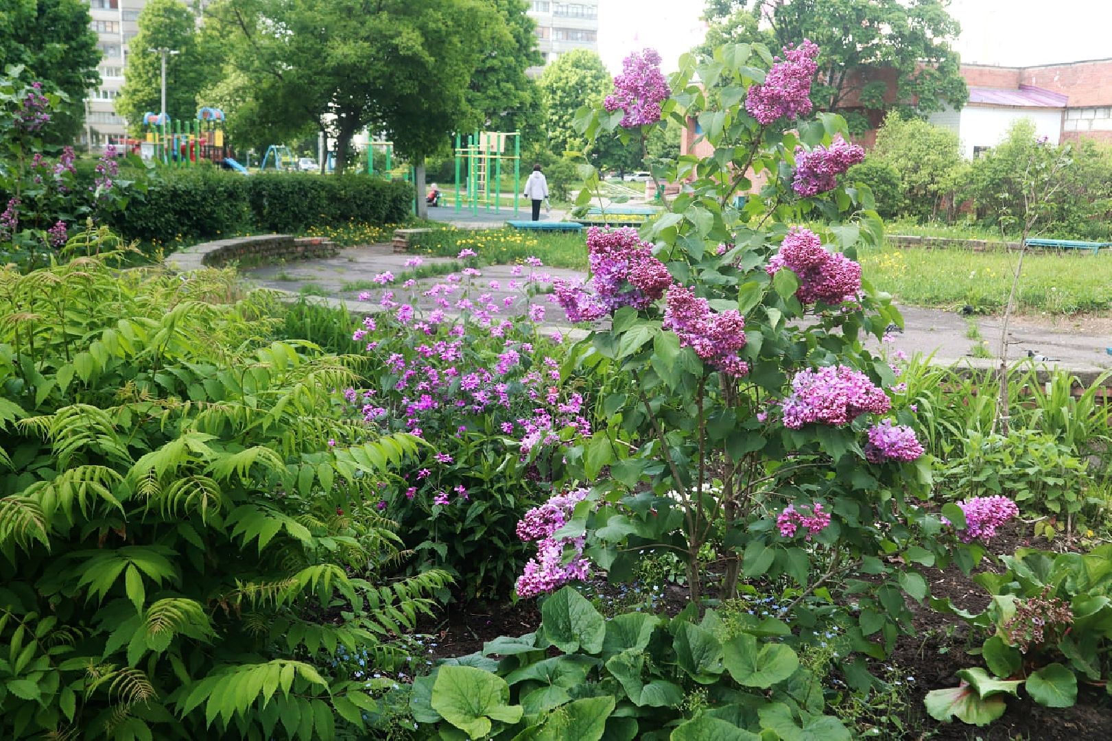 Пущино, экология, благоустройство