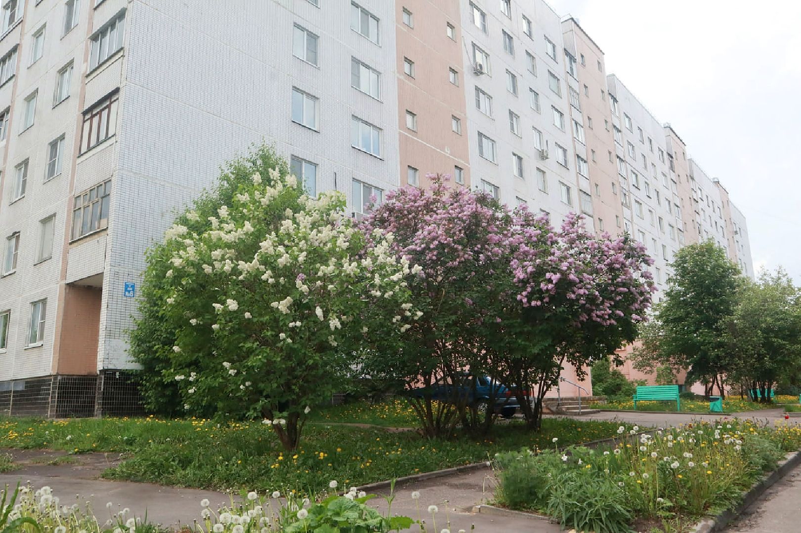 Пущино, экология, благоустройство