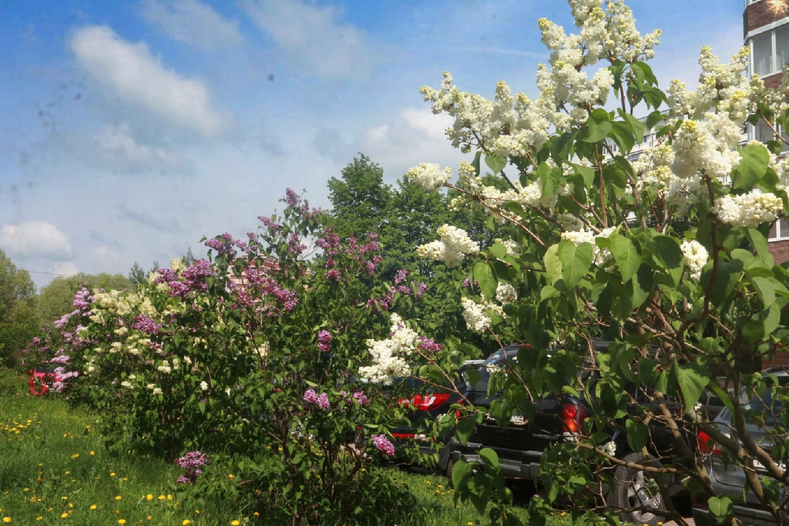 Пущино, экология, благоустройство