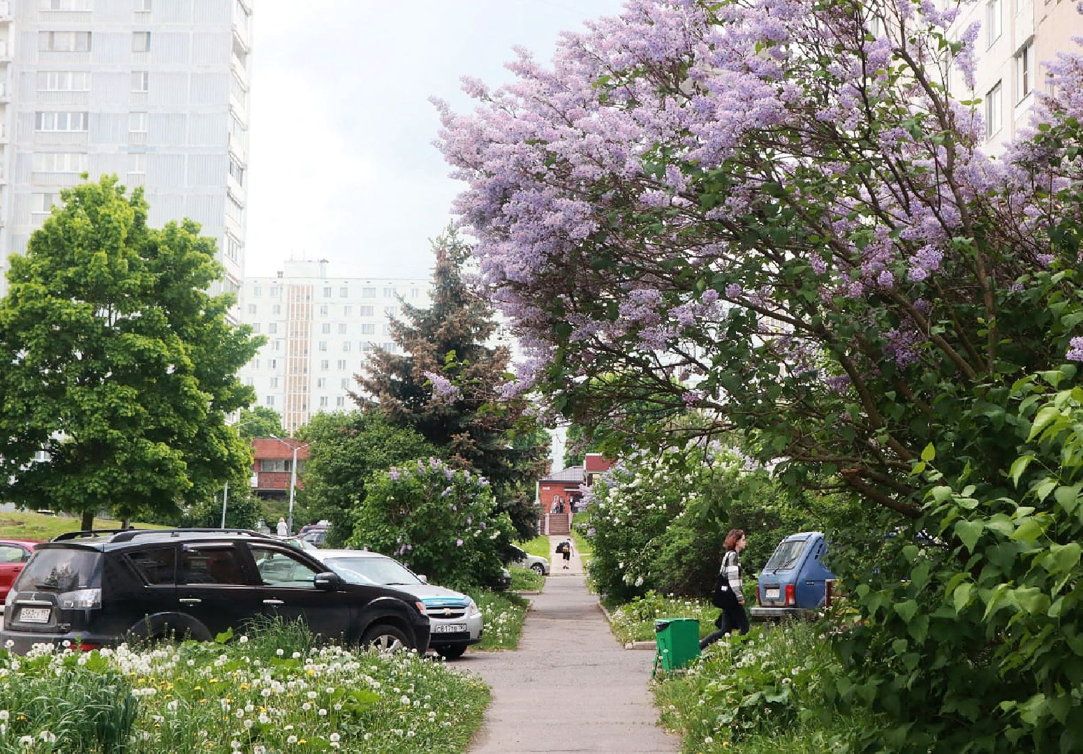 Пущино, экология, благоустройство