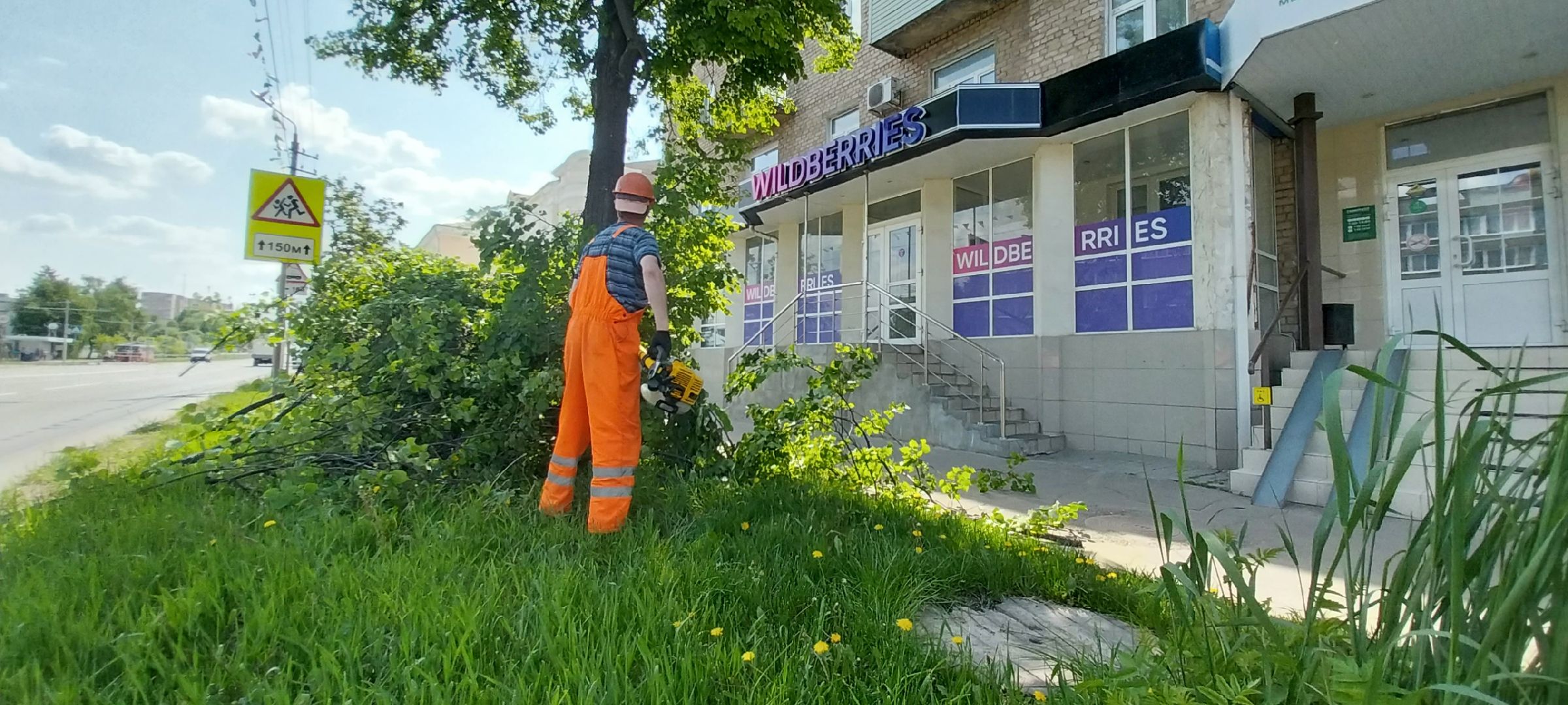 коломна, дорожные работы, деревья