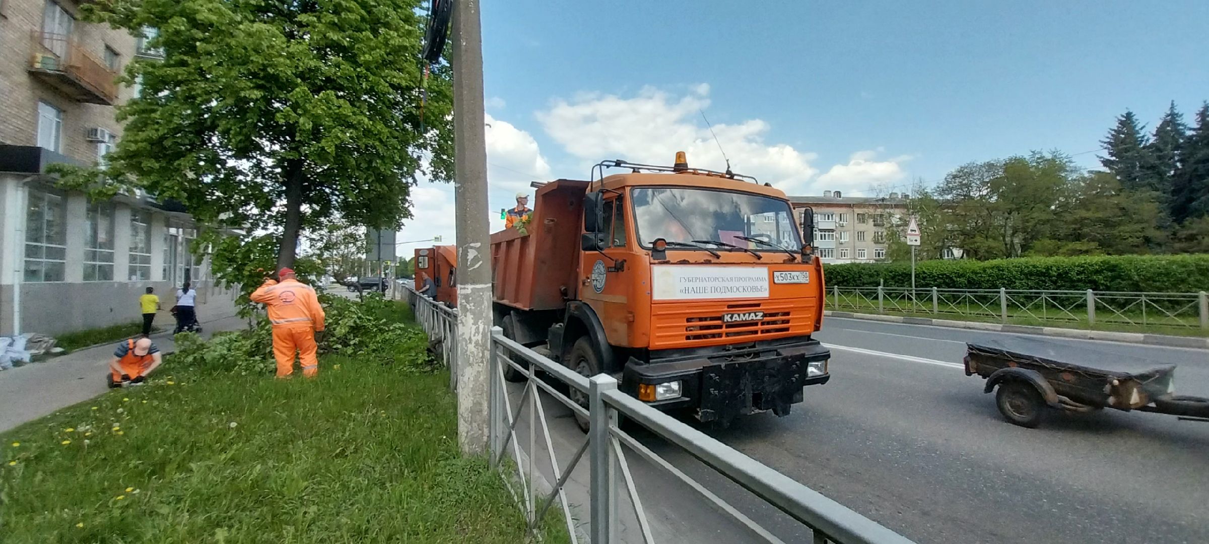 коломна, дорожные работы, деревья