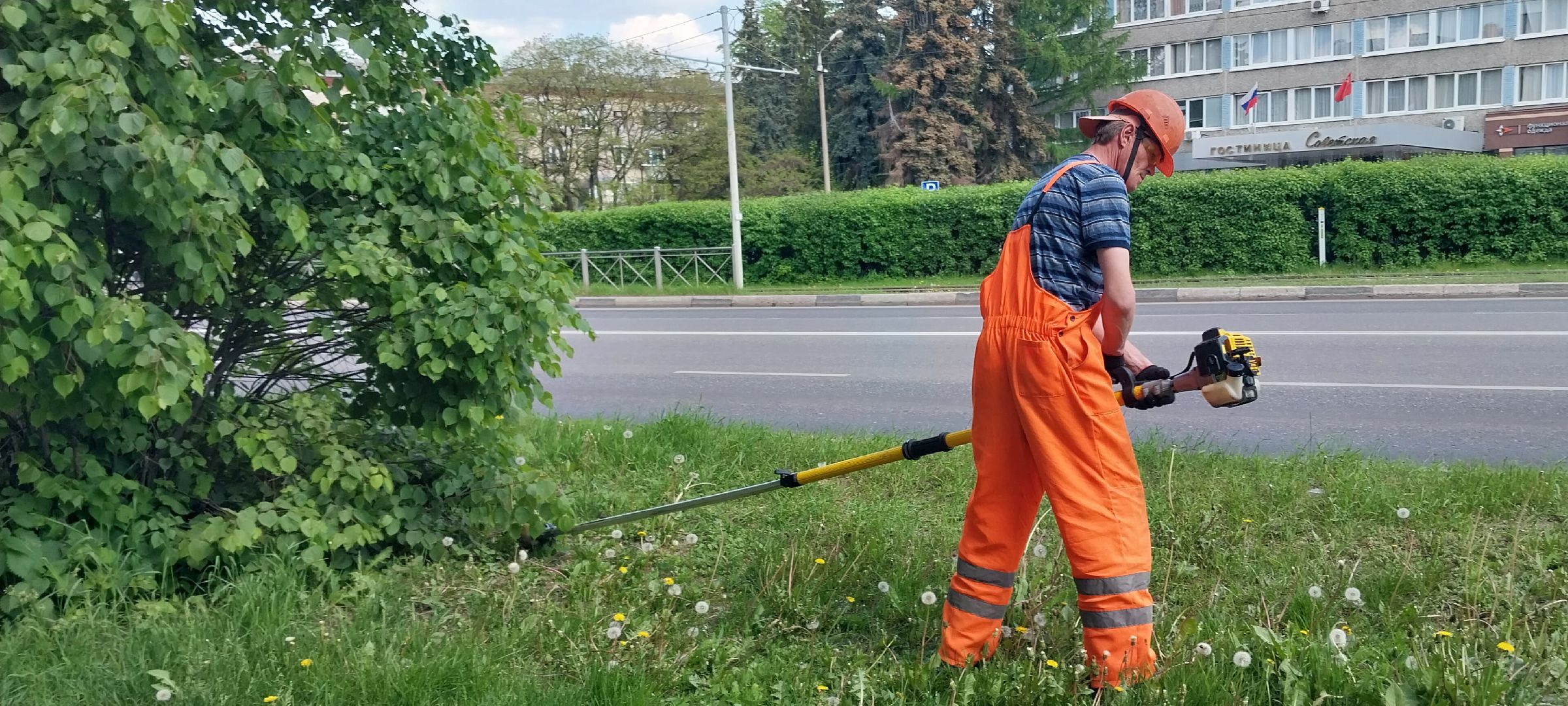 коломна, дорожные работы, деревья