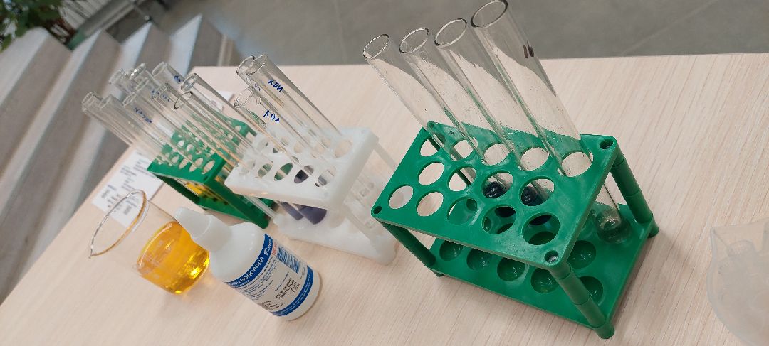 Пущино, образование