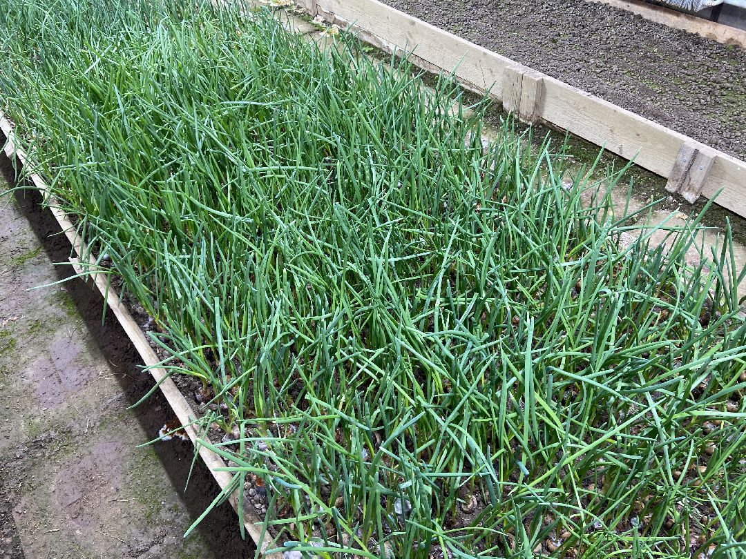 Волоколамск