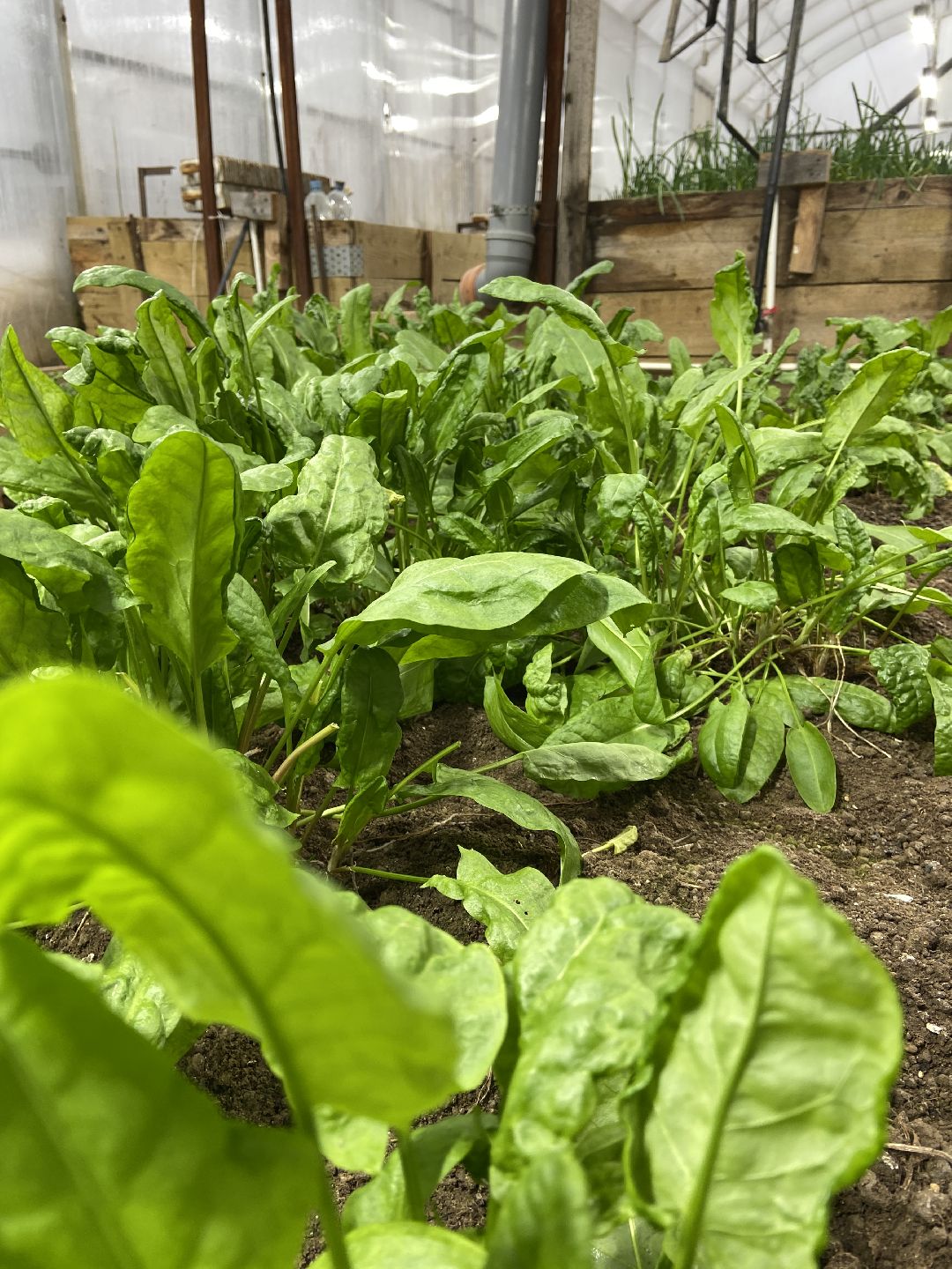 Волоколамск