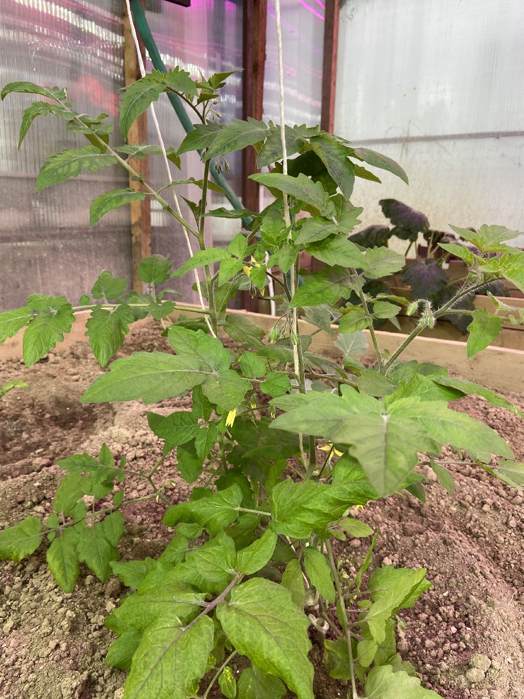 Волоколамск