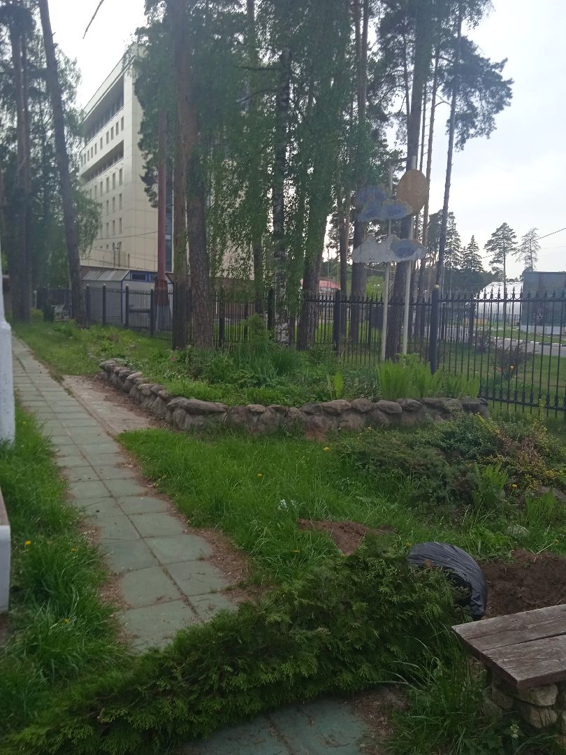 парк, культуры, отдыха, реконструкция, зонирование