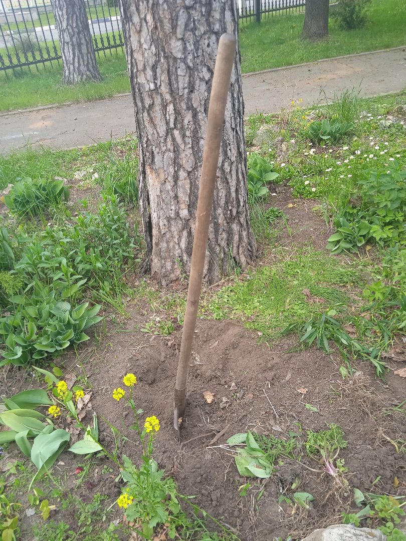 парк, культуры, отдыха, реконструкция, зонирование