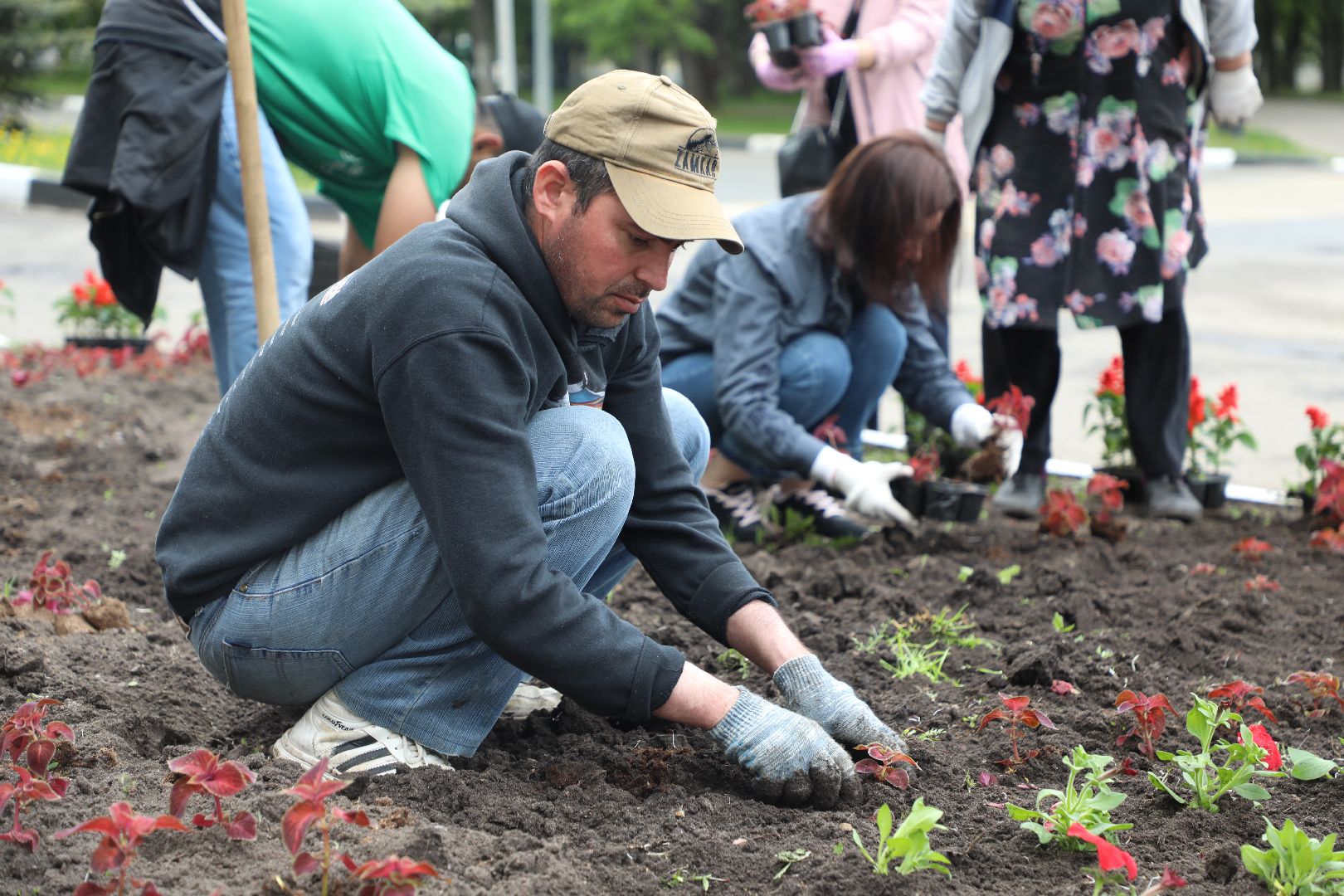 лыткарино, жкх, уборка, цветы,