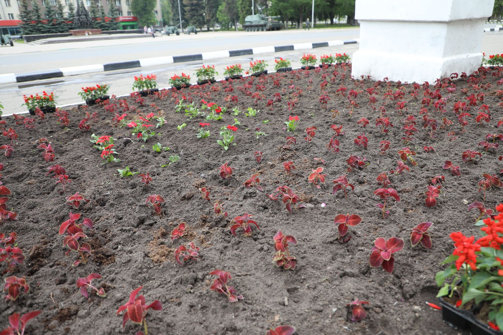 лыткарино, жкх, уборка, цветы,