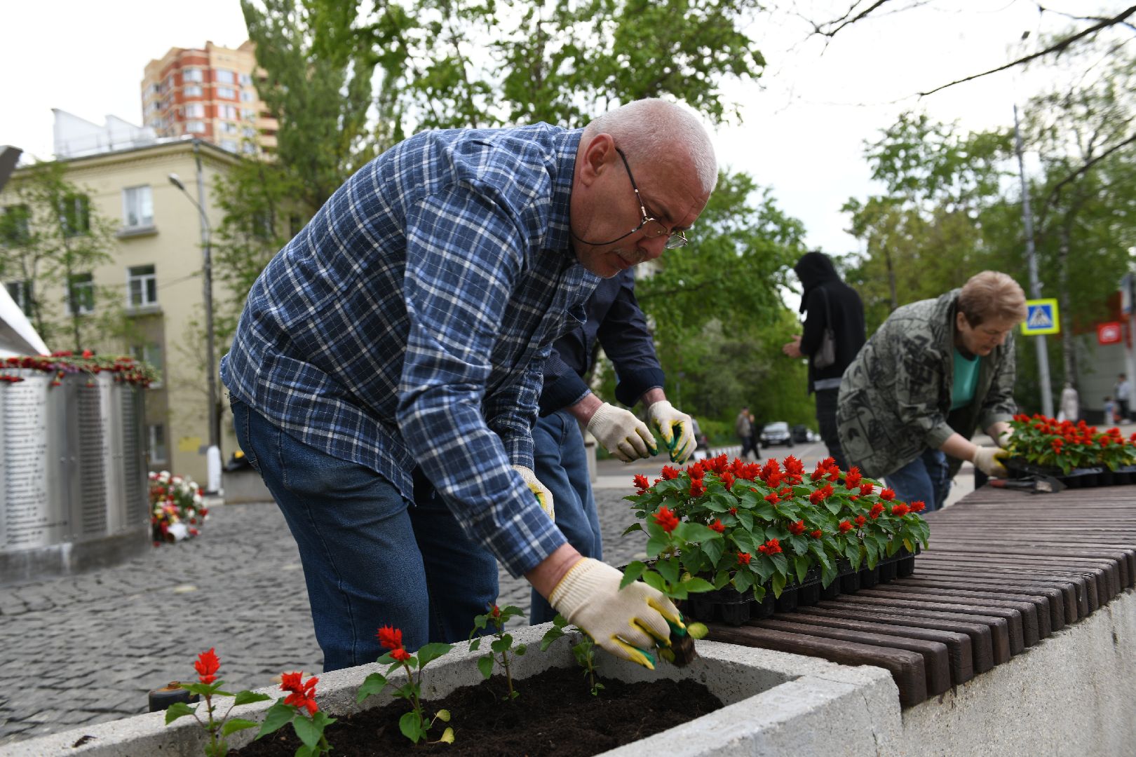 лыткарино, жкх, уборка, цветы,