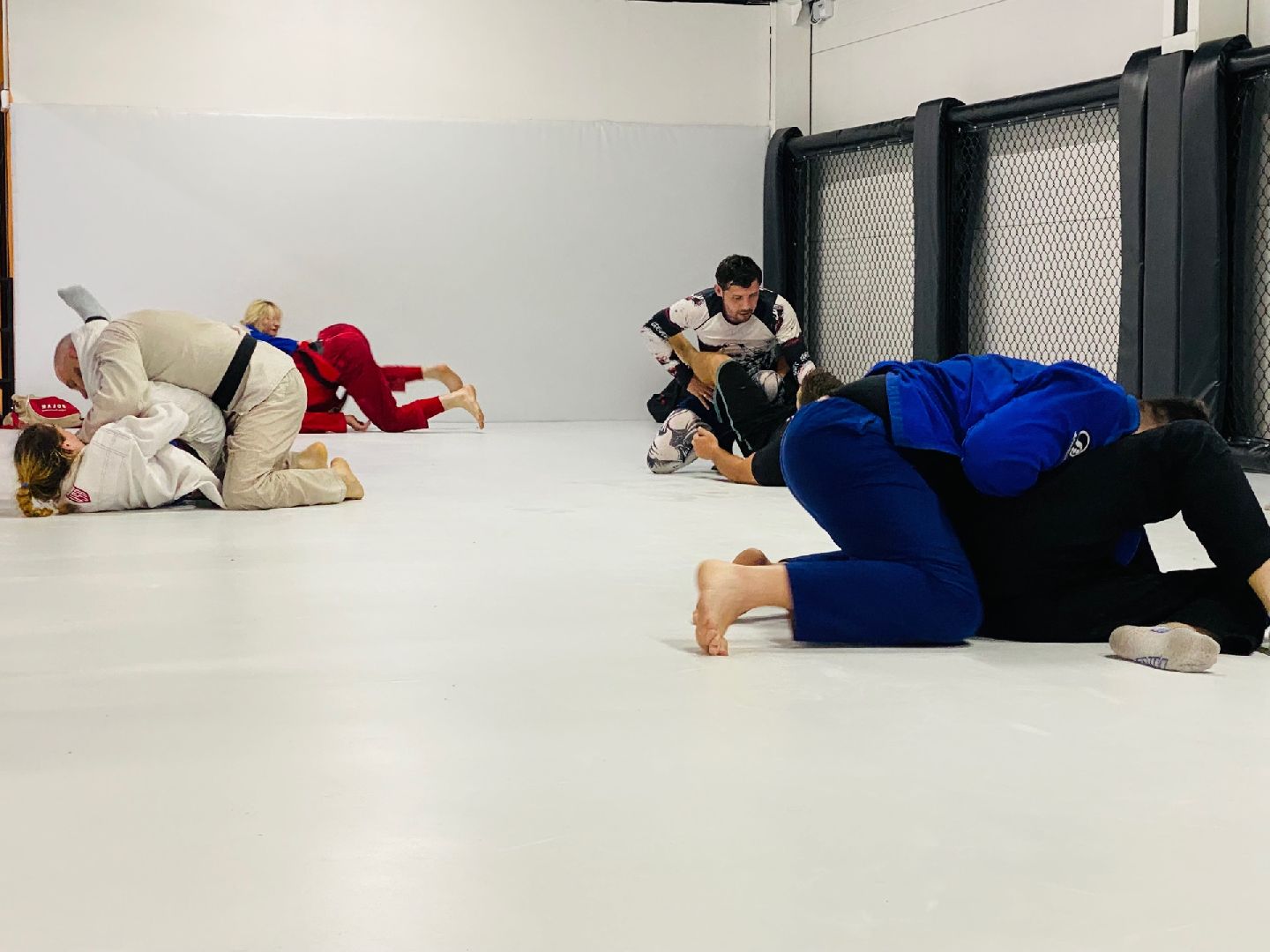 Домодедово, спорт, борьба, самбо, джиу джитсу, дзюдо