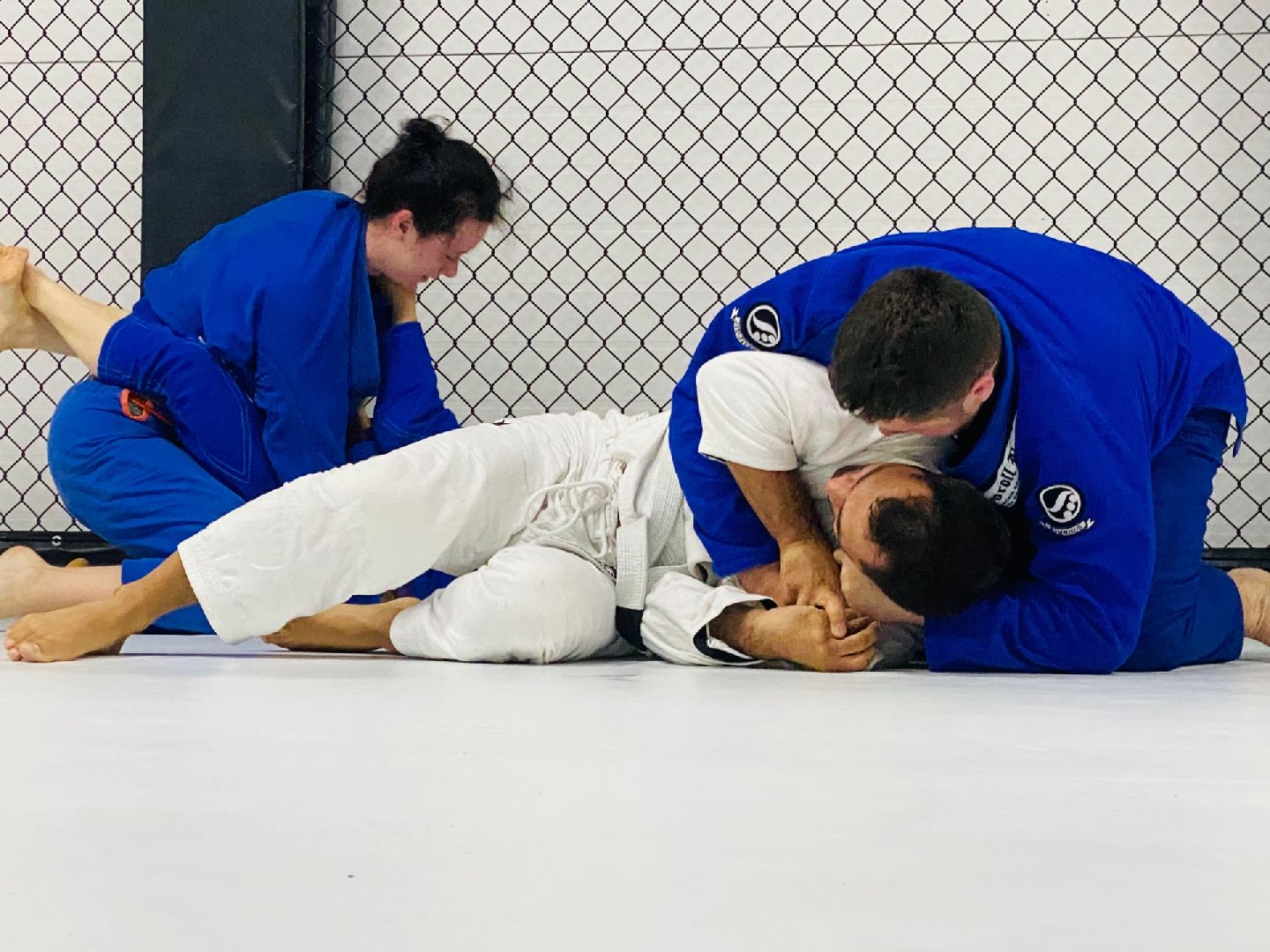 Домодедово, спорт, борьба, самбо, джиу джитсу, дзюдо