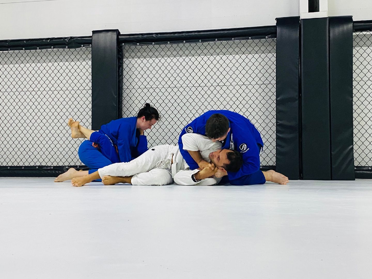 Домодедово, спорт, борьба, самбо, джиу джитсу, дзюдо