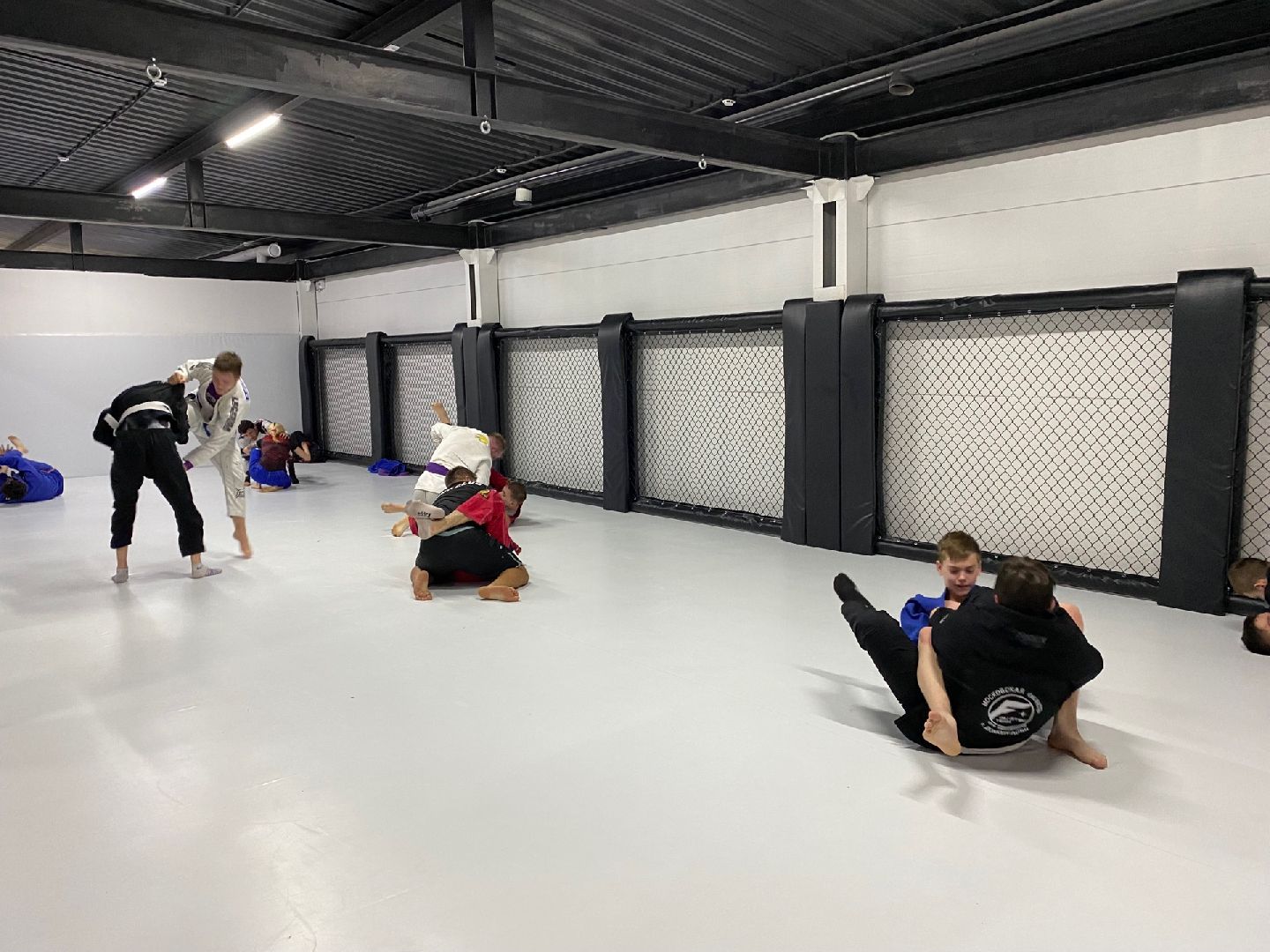 Домодедово, спорт, борьба, самбо, джиу джитсу, дзюдо