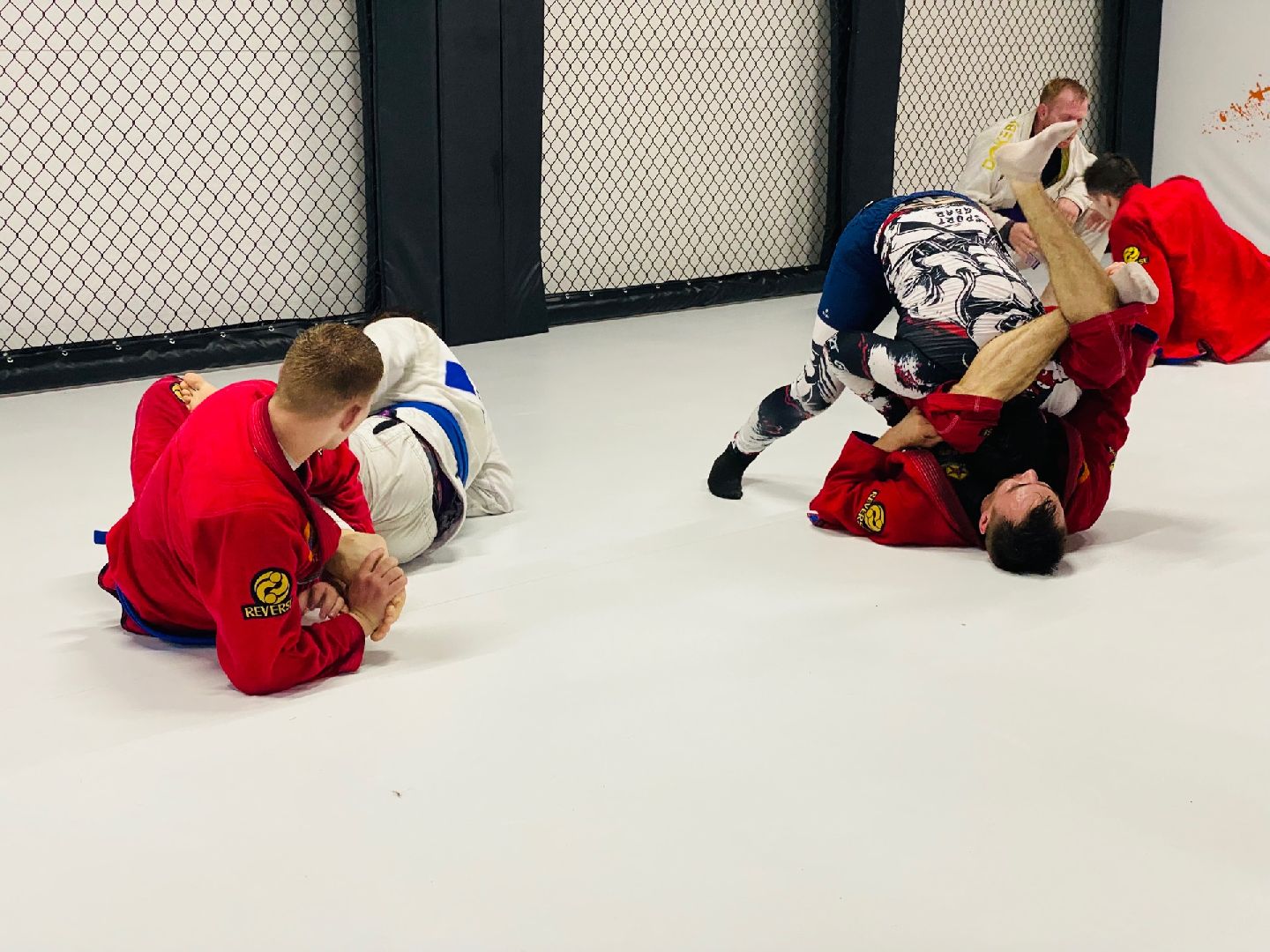 Домодедово, спорт, борьба, самбо, джиу джитсу, дзюдо