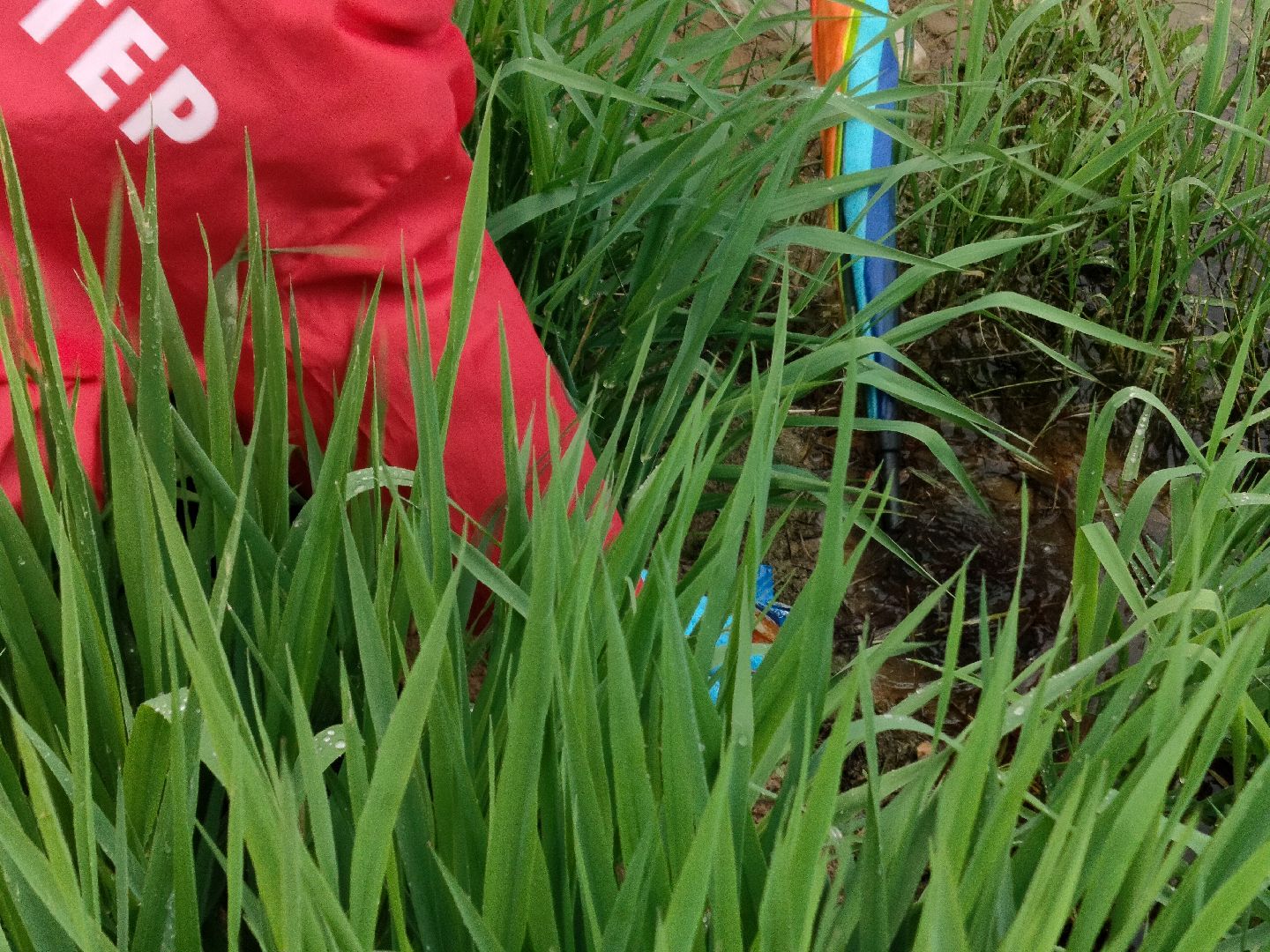 волонтеры, Вода России, экологическая акция, Протвино, протвинский карьер